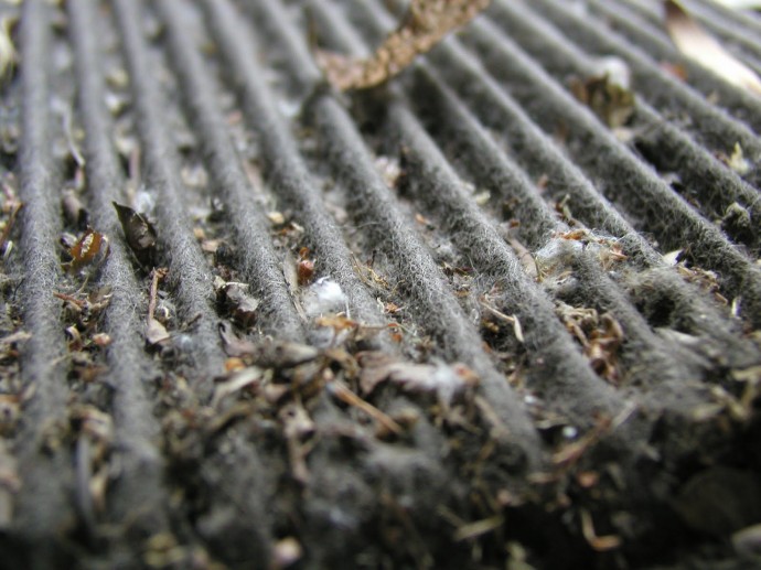 Cabin Air Filter